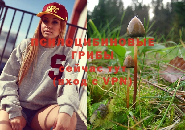 MESCALINE Покровск