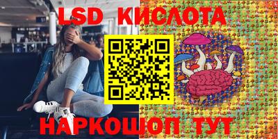 mdpv Дубна