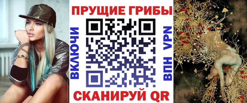 Галлюциногенные грибы Psilocybe  Ногинск 