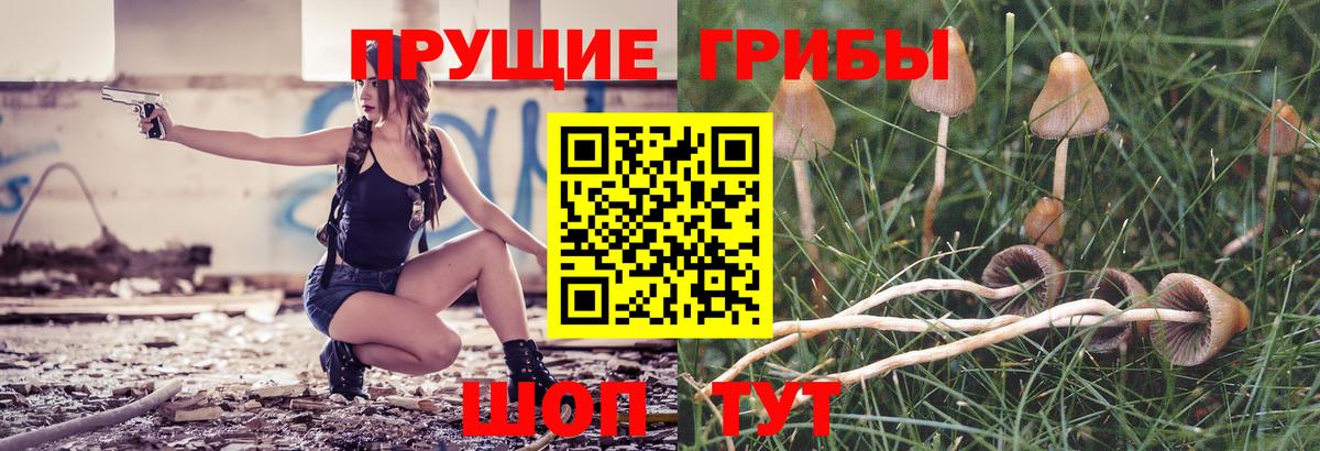 Галлюциногенные грибы Magic Shrooms Ногинск