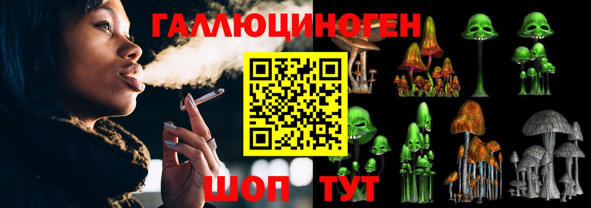 Ногинск  Псилоцибиновые грибы мухоморы  Вход с VPN 